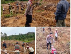 Dukung Program Ketahanan Pangan, Kapolsek Silat Hilir Tinjau Langsung Kegiatan Penggarapan Lahan Kelompok Tani Di Desa Pangeran