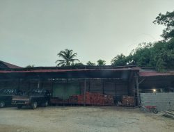 Di Duga Toko Kayu Milik Cece Dan Avin tidak memiliki izin resmi, (APH) Di Minta Bertindak