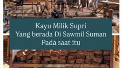 Di Duga Kayu Yang Berada Di Sawmil SM adalah Milik Saudara SUPRI, Di Minta POLDA KALBAR Harus Cepat Bertindak!