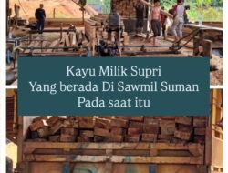 Di Duga Kayu Yang Berada Di Sawmil SM adalah Milik Saudara SUPRI, Di Minta POLDA KALBAR Harus Cepat Bertindak!