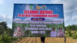 Kegiatan Penanaman Jagung Dikeloter Tahap Ke 2, Lahan Milik Polsek Silat Hilir Di Desa Pangeran Kec.Silat Hilir
